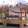 Eco Lodge