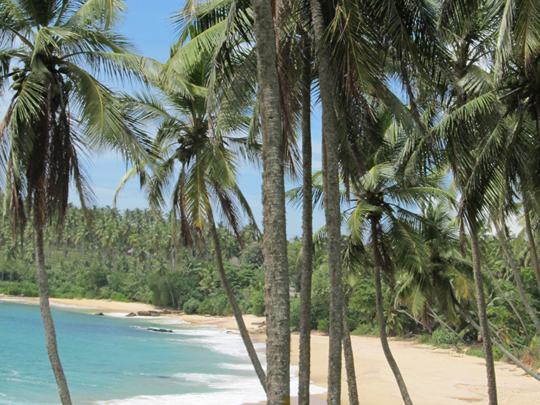 Customer review Mai Globe Travels