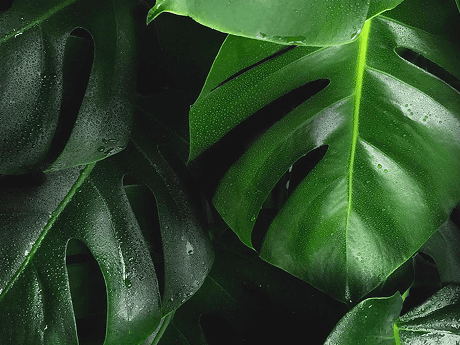 Sustainable tourism in Asia