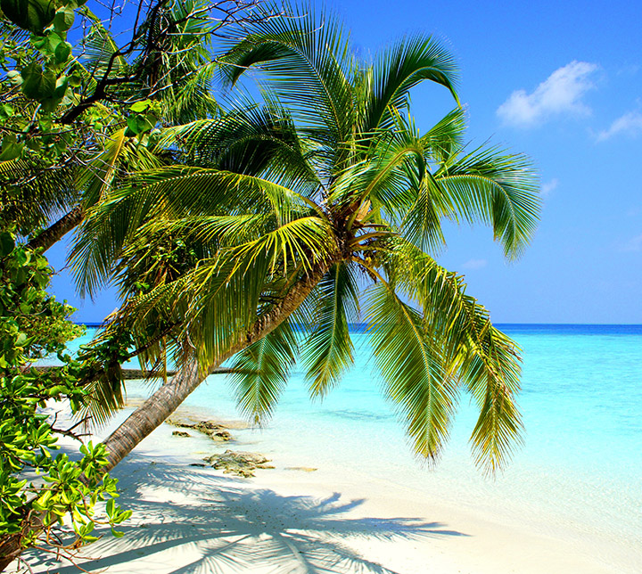 Tour, Maldives, Beach, Relaxation