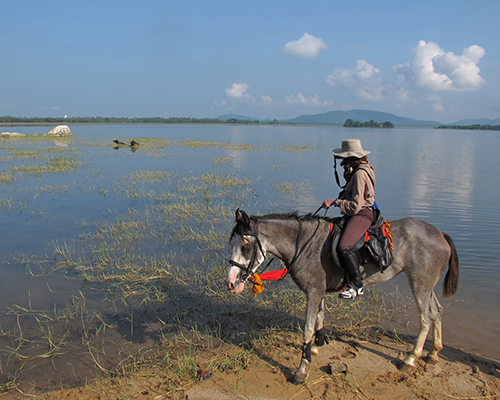 Horse riding tour Sri Lanka
